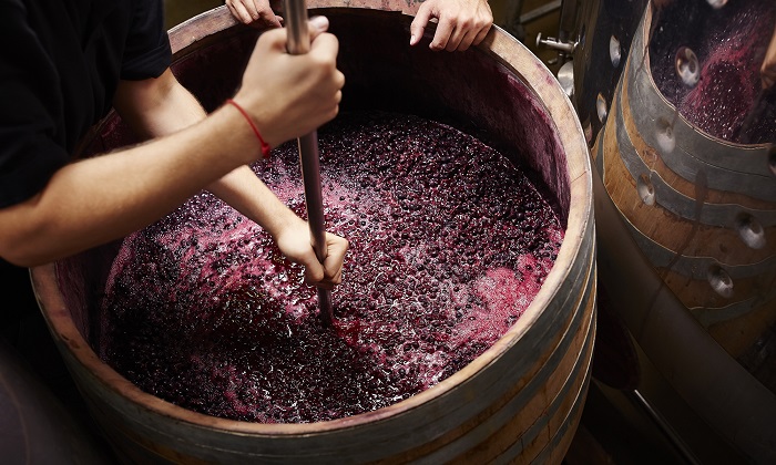 Tìm hiểu cách làm rượu vang thơm ngon với 9 bước quan trọng 