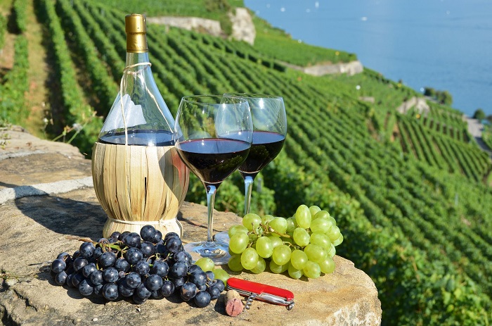 Top 5 quốc gia sản xuất nhiều rượu vang nhất thế giới 3