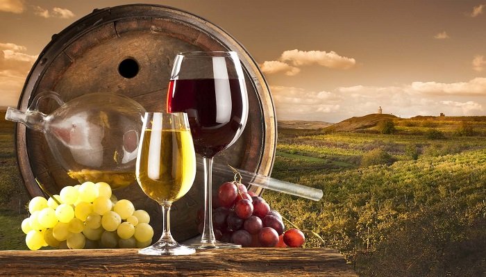 Rượu vang Pháp – Những kiến thức thú vị cho tín đồ yêu vang 1