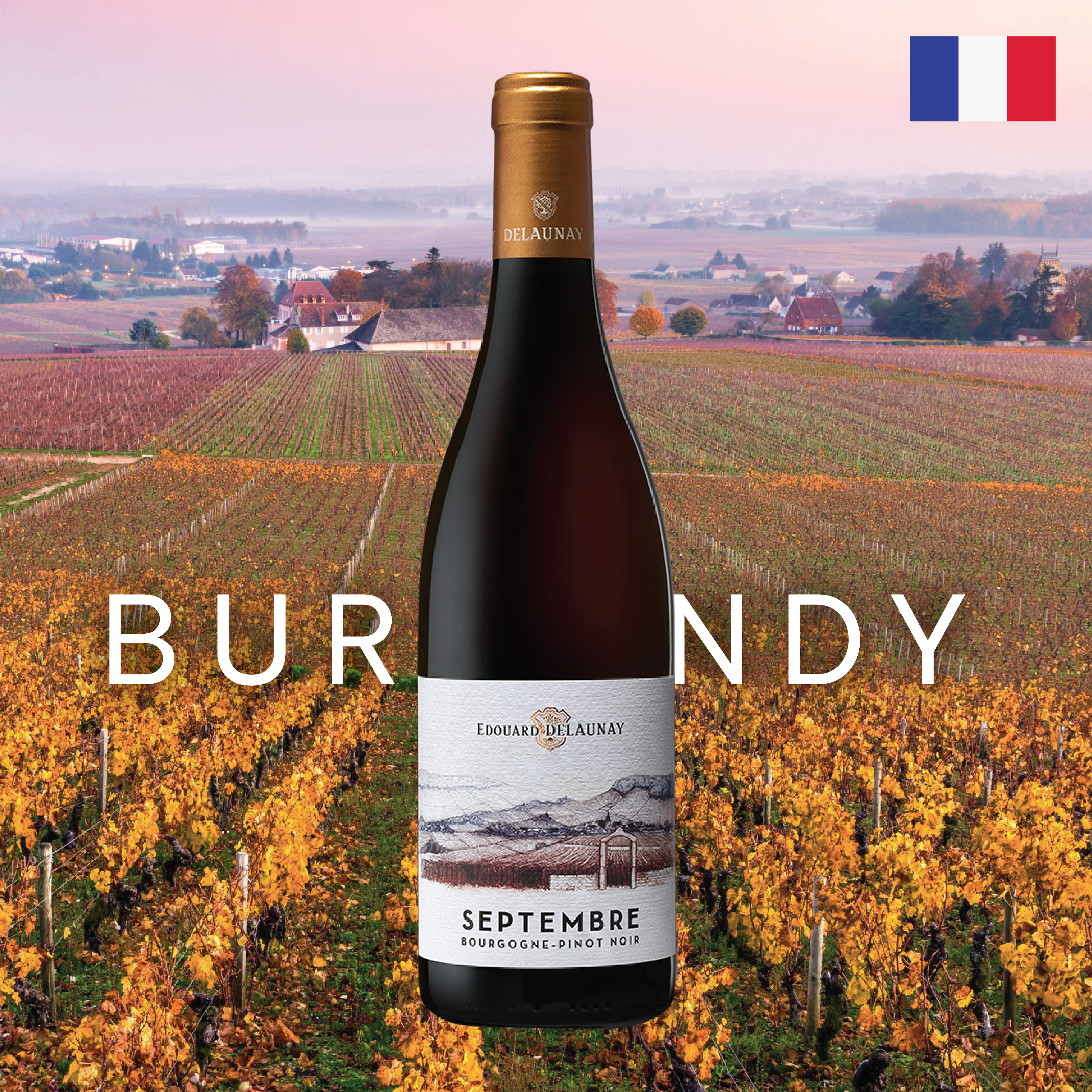 Rượu Vang Đỏ SEPTEMBRE Bourgogne Pinot Noir 2019