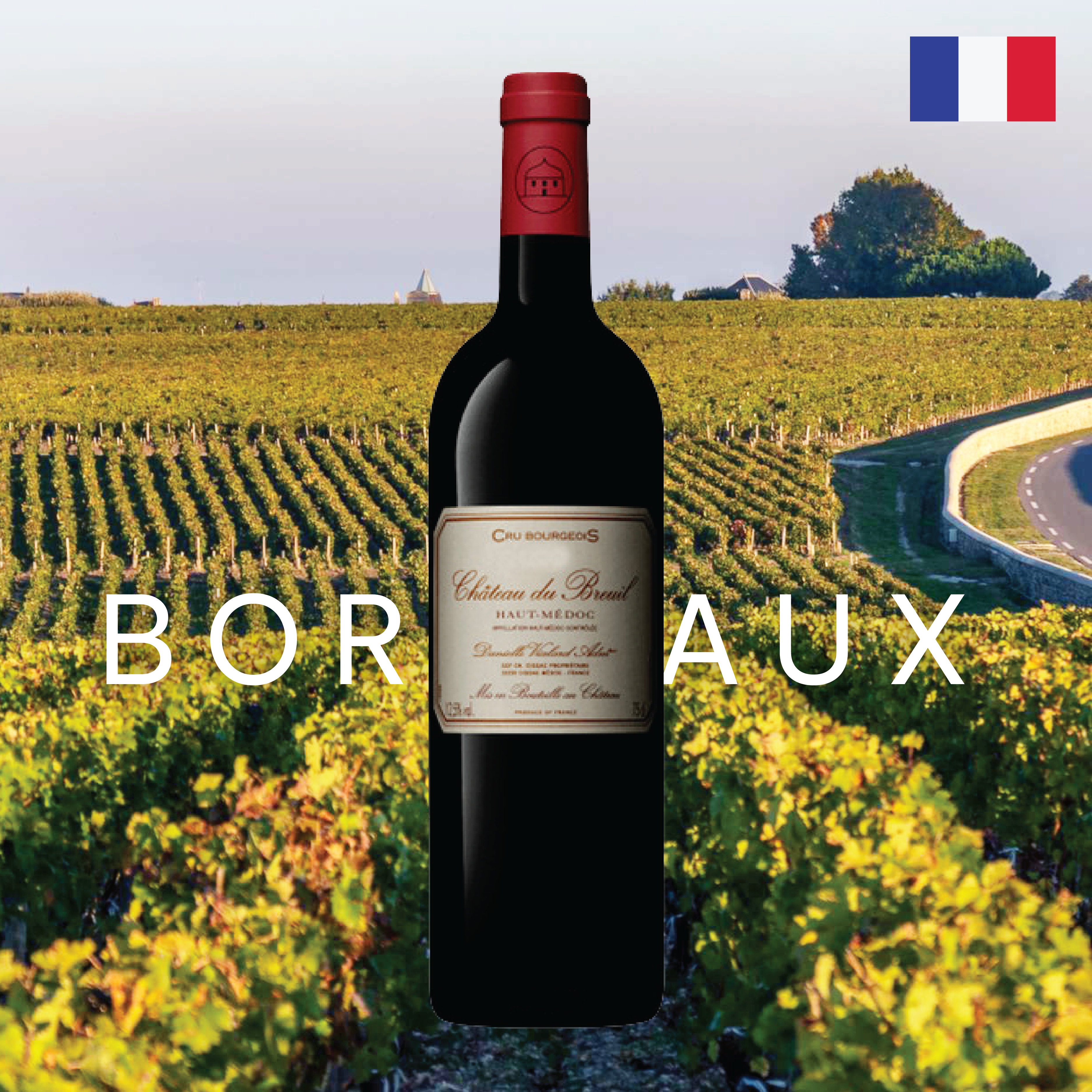 Rượu Vang Đỏ Château Du Breuil AOC Haut Médoc Cru Bourgeois 2015