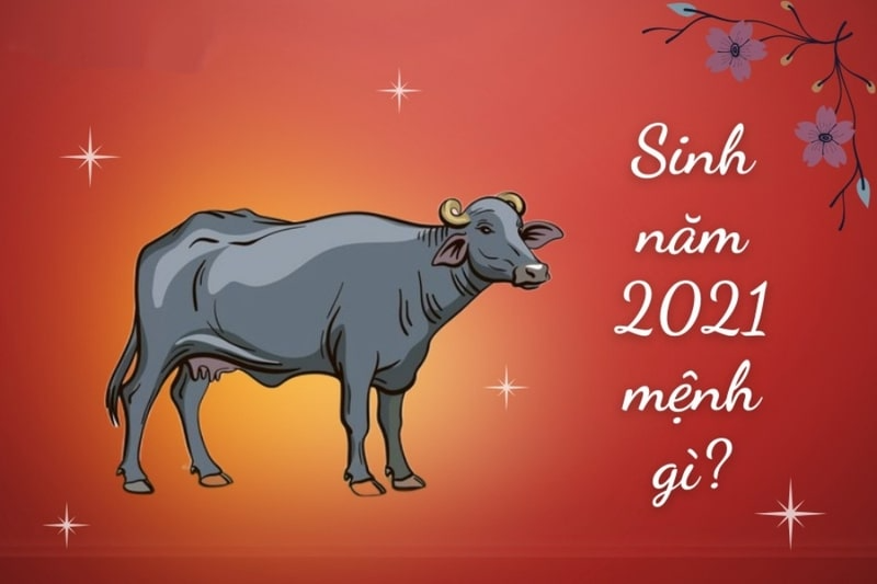 Số phận của năm 2021 sẽ ra sao? Khám phá yếu tố Thổ và tính cách đặc trưng của người dân Tân Sửu trong cuộc sống