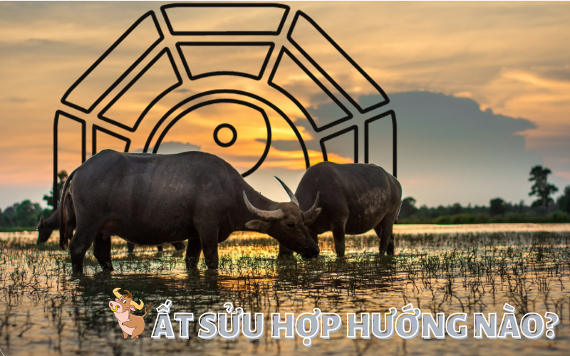 Tuổi Ất Sửu 1985 hợp hướng nào để kéo tài lộc vào nhà?