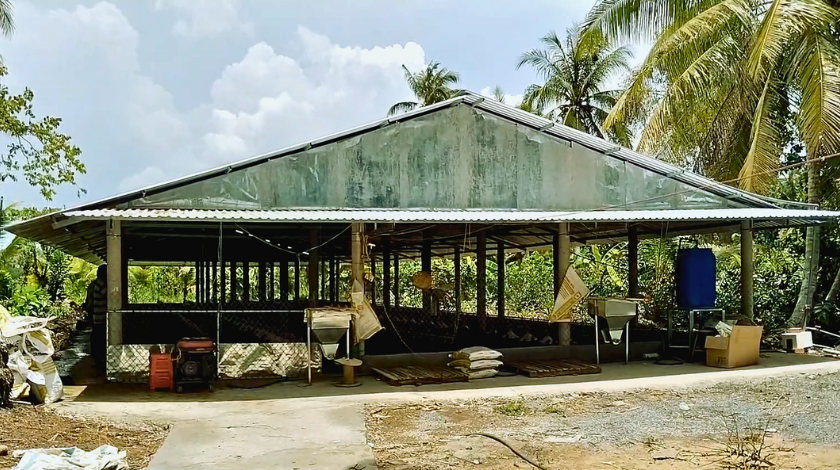 Hướng dẫn chi tiết về cách xây dựng chuồng gà hiệu quả