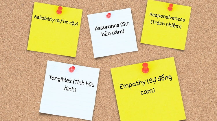 Mô hình RATER là gì? 5 yếu tố chính và các bước ứng dụng